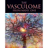 The Vasculome: From Many, One