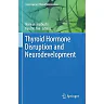 Thyroid Hormone Disruption and Neurodevelopment