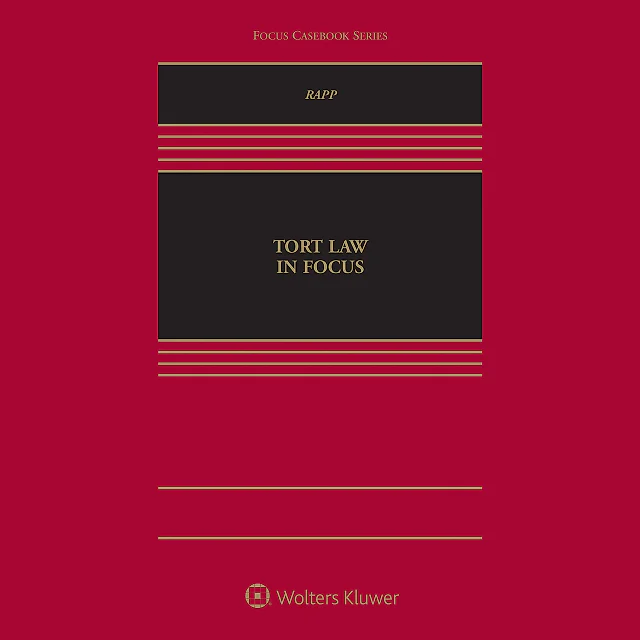 Tort Law in Focus