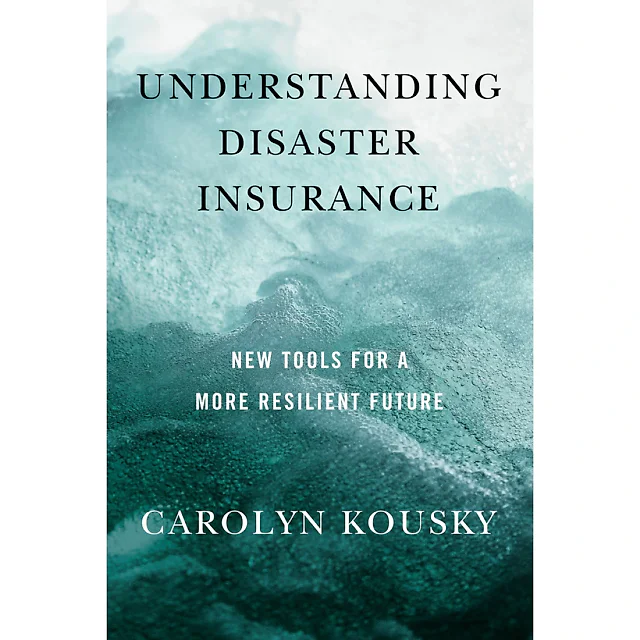 Understanding Disaster Insurance: New Tools for a More Resilient Future