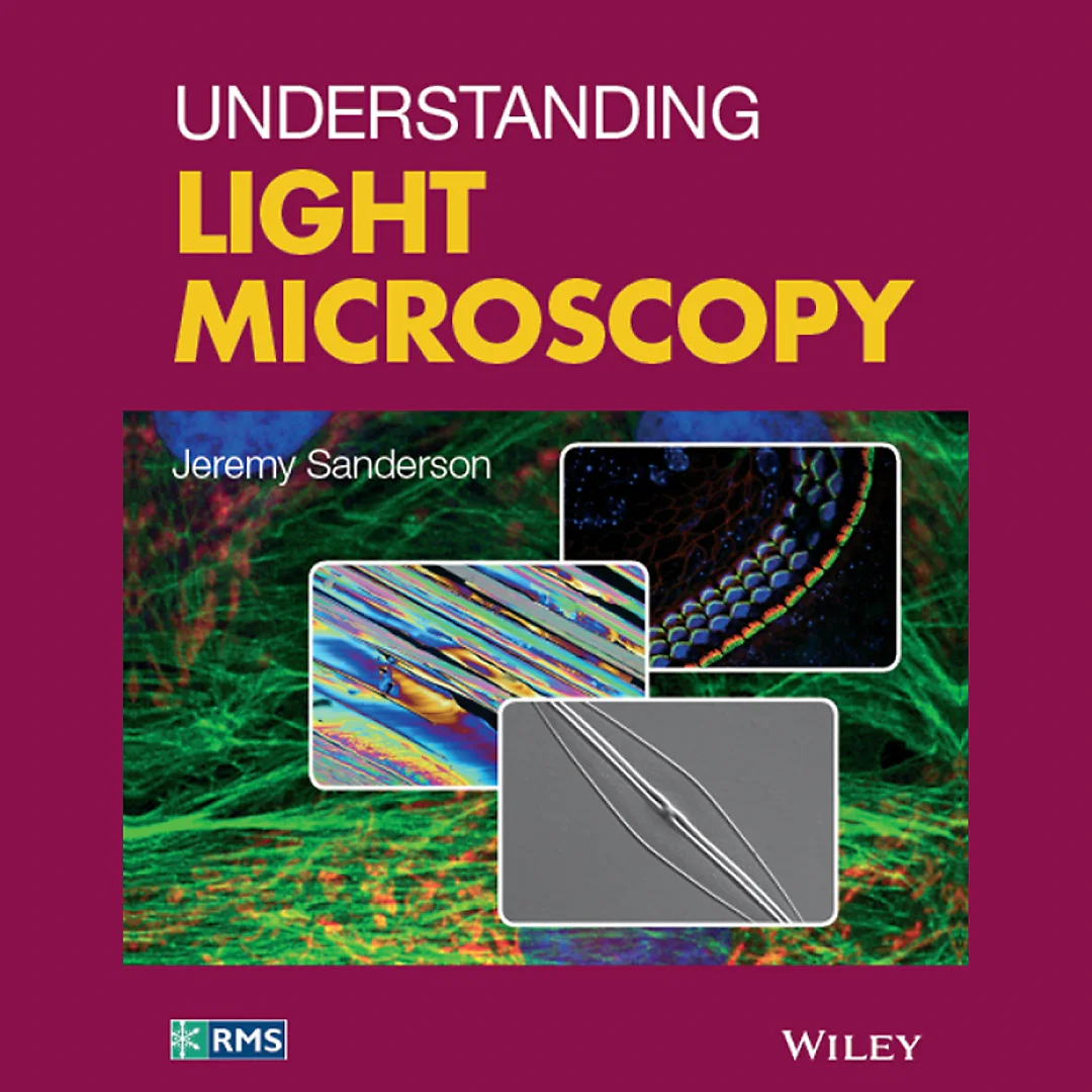 Understanding Light Microscopy