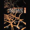 Understanding Molecular Simulation: From Algorithms to Applications