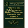 Views On Ericksonian Brief Therapy
