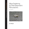 Wave Scattering by Time-Dependent Perturbations : An Introduction