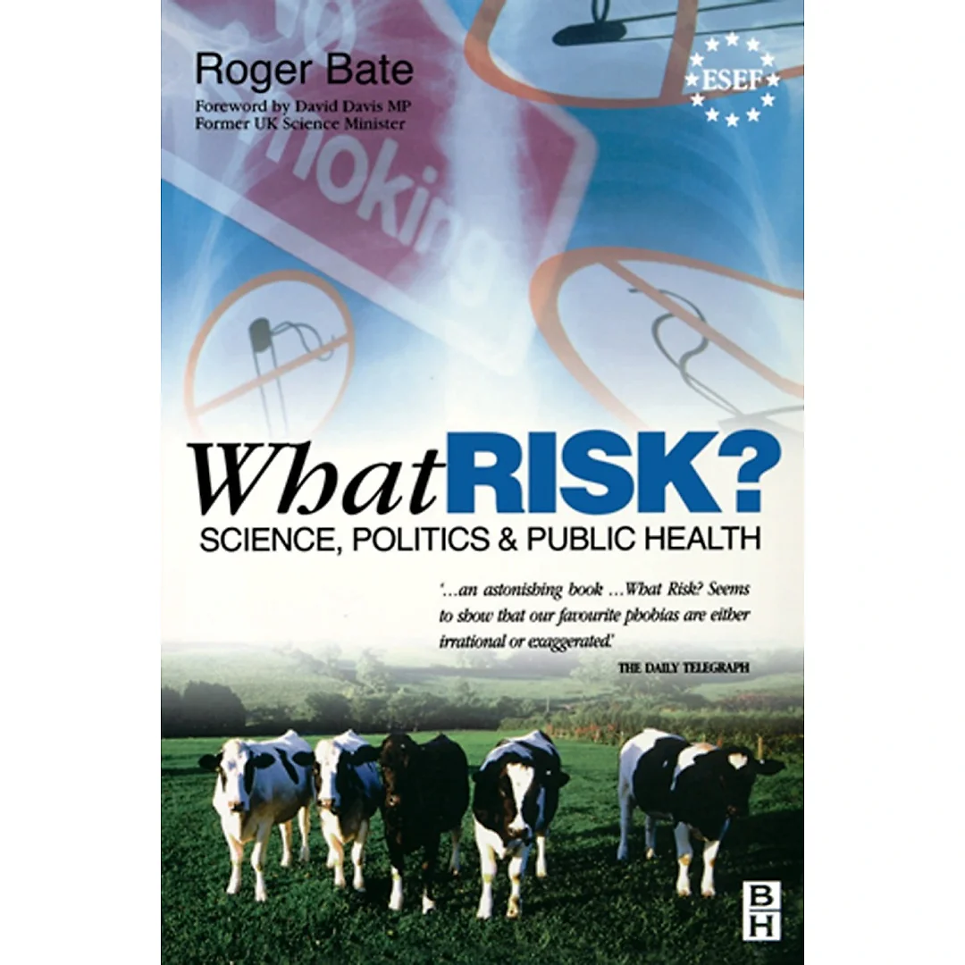 What Risk?