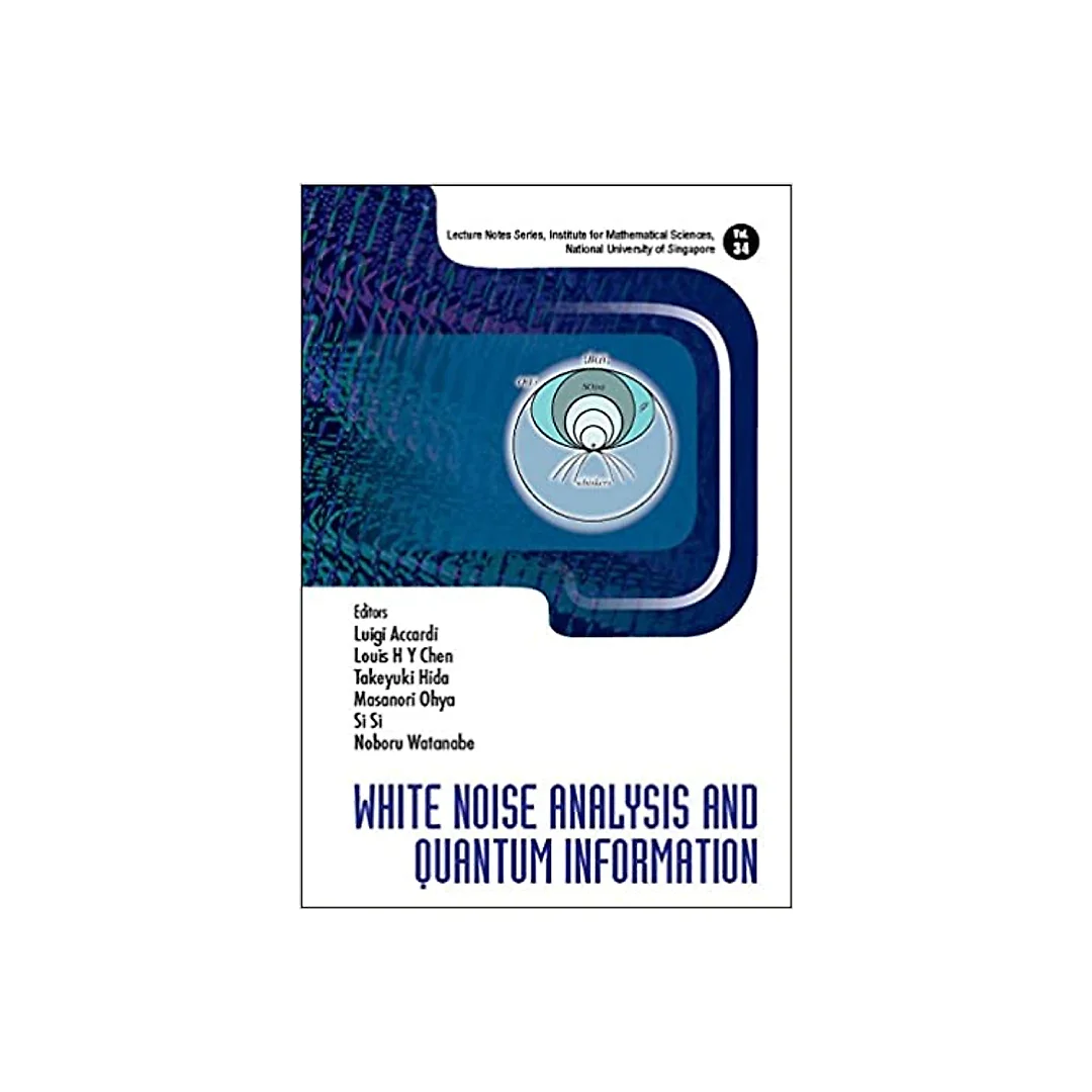 White Noise Analysis And Quantum Information