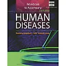 Workbook for Neighbors/Tannehill-Jones' Human Diseases 4th Edition