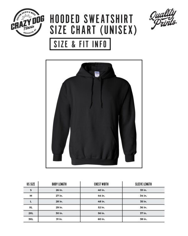Big Shenanigans Energy Hoodie - Image 3